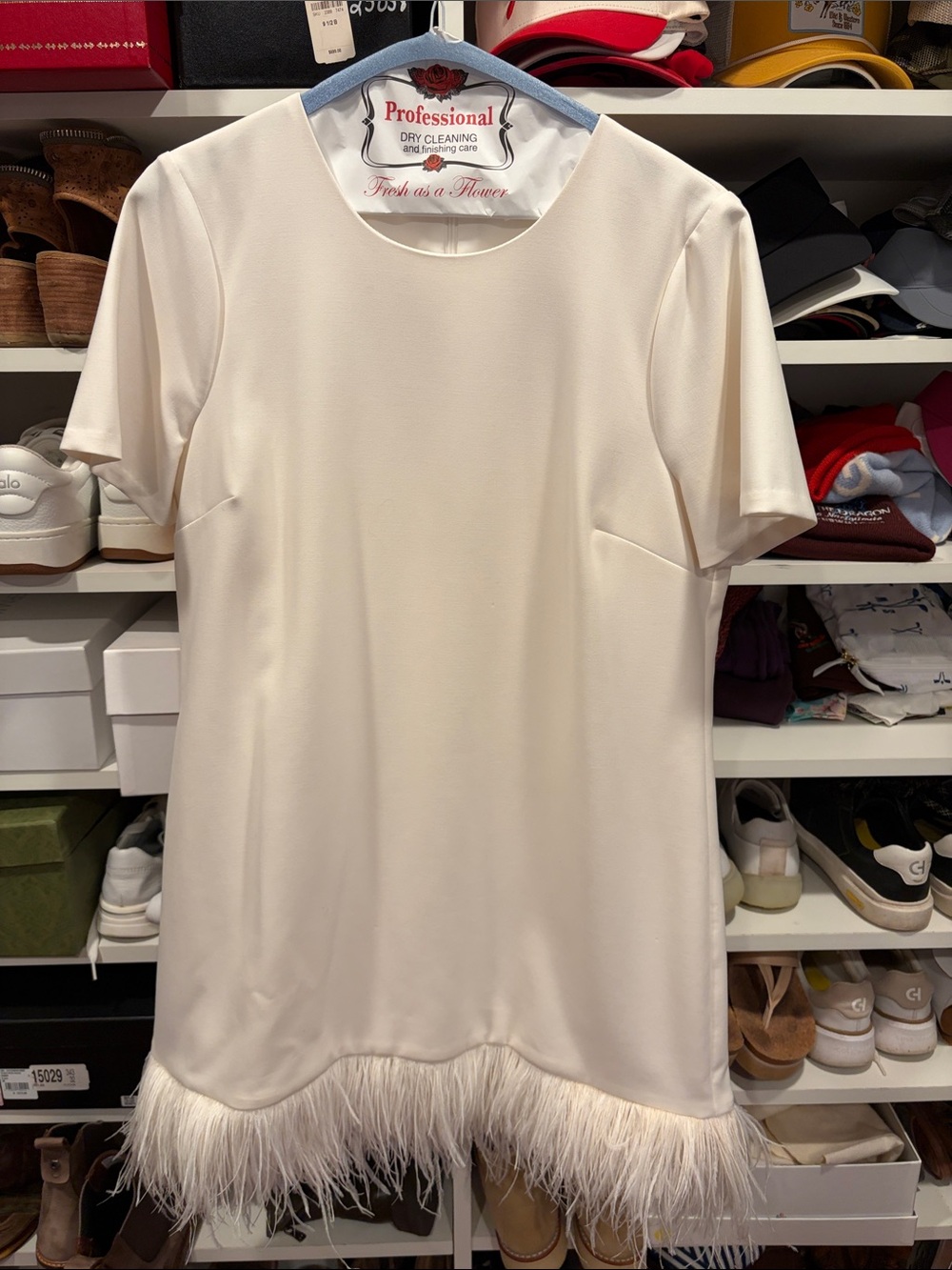 Likely Ivory Feather-Hem Short Sleeve Wedding Dress or Something Wedding